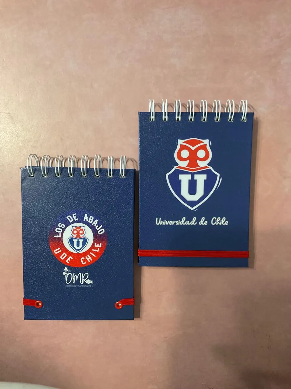 Notas Universidad de Chile